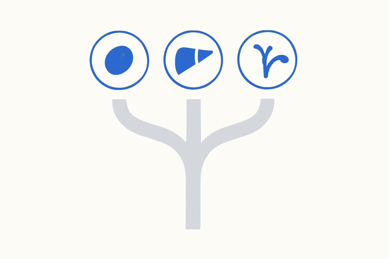 Flat illustration of one path splitting into three routes, pre, intra and post hepatic causes of jaundice